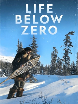 零度以下的生活6