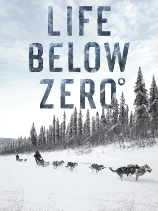 零度以下的生活9